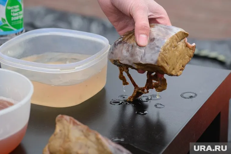 В говяжьей печени нашли ДНК свиньи