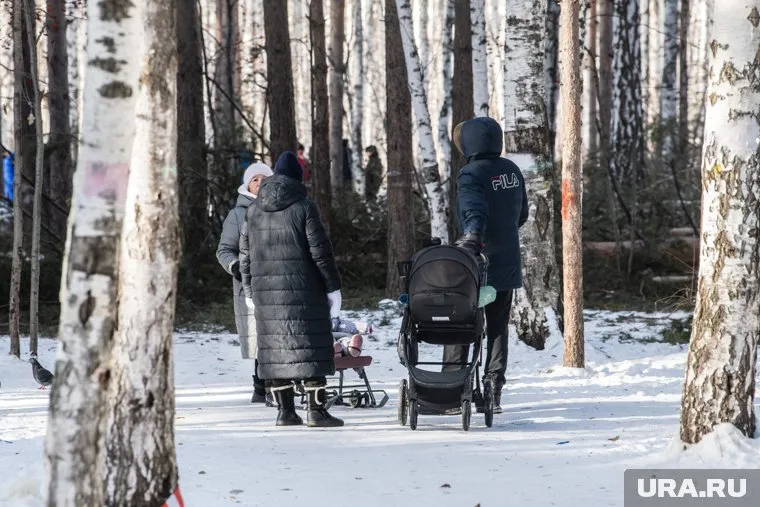 Жители Академического района хоття сохранить рощу