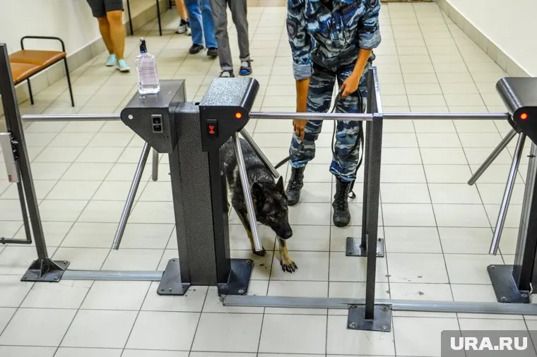 В школе № 42 находятся кинологи