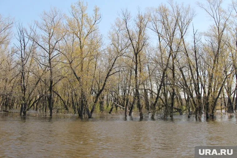В курганском округе ждут подтопления моста на реке