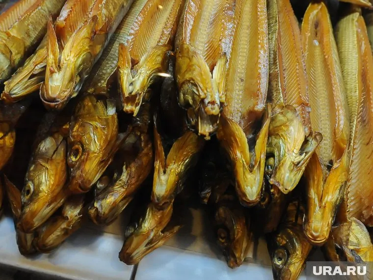 Якутского муксуна на Дне оленевода в Салехарде продавали по цене в три тысячи рублей за килограмм