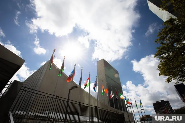 ООН требует у бывшего замгенсека с Украины 63 млн долларов компенсации