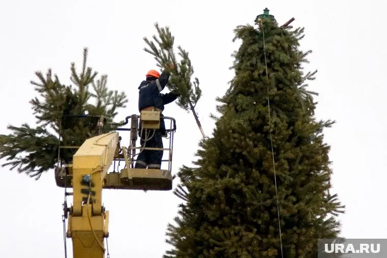 Подрядчик, выигравший аукцион на установку новогоднего городка, сбил цену на треть от изначальной