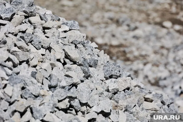 Недоимка по налогам и сборам компании составила более 29 млн рублей