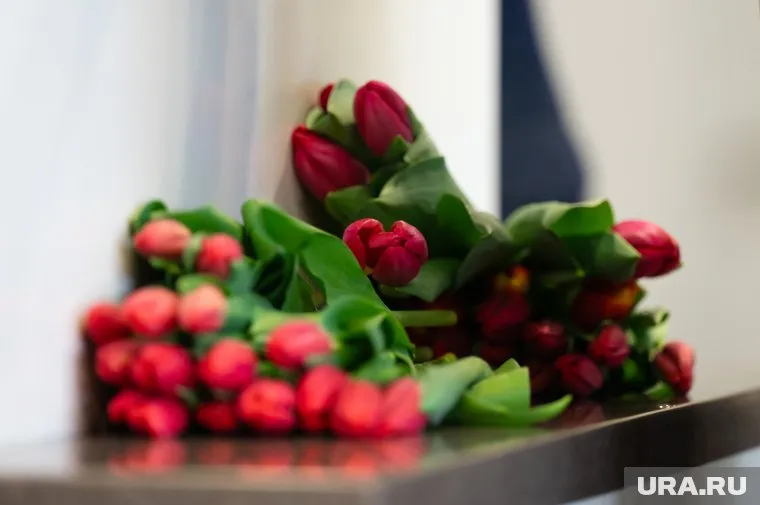 Минимальная цена тюльпанов в городе - 99 рублей