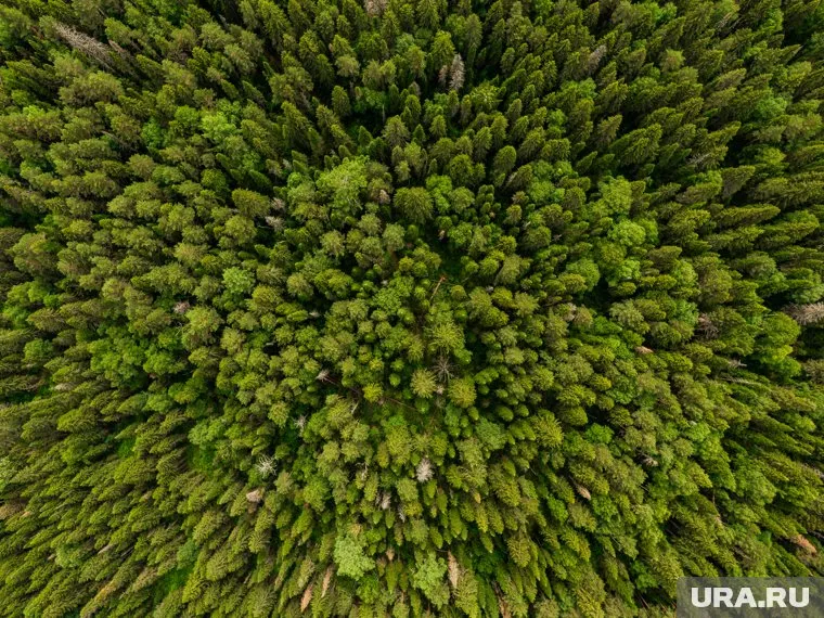 Лучший вариант — проводить время на природе, считает Наталья Варская