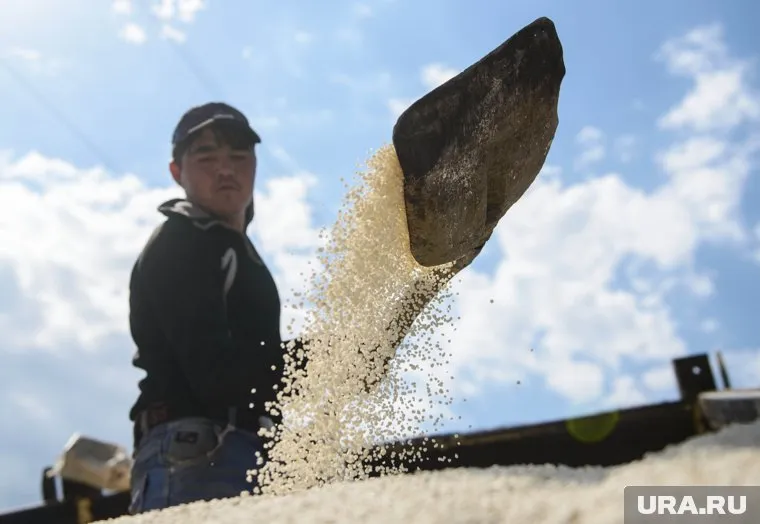 Удобрения остаются главным российским товаром в США