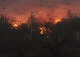 Фотография из галереи