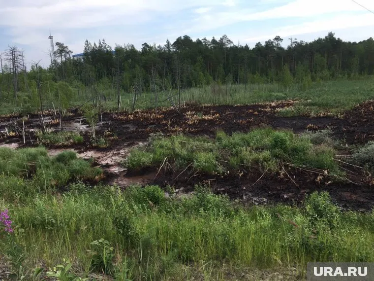 Очевидцам показались подозрительными разливы рыжеватого цвета