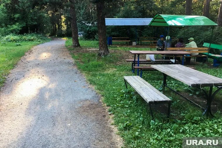 Преступления совершались на территории городского бора