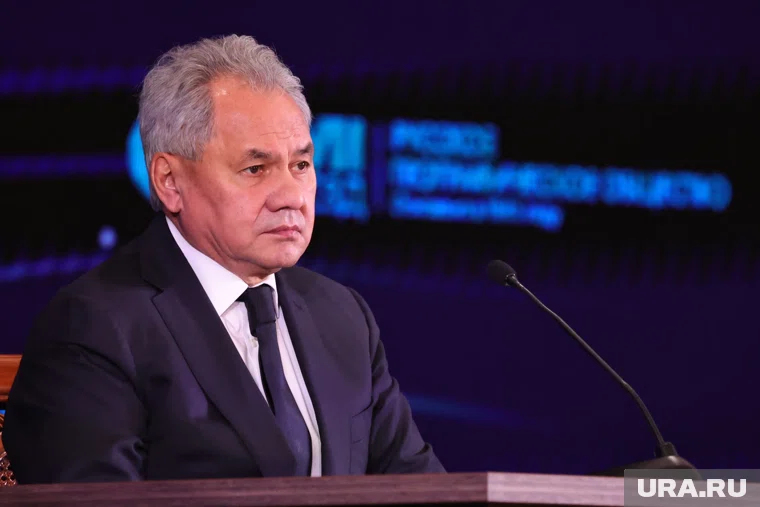 Шойгу сказал, что РФ направит миллиарды рублей на переработку редких и редкоземельных металлов в Сибири