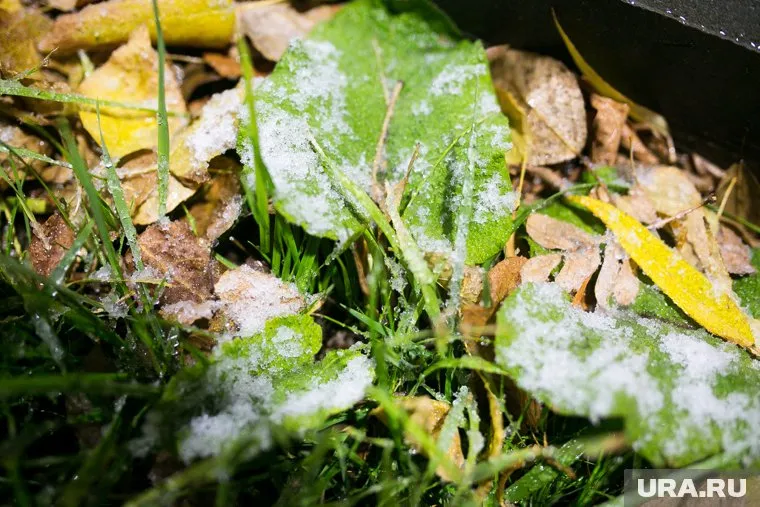 Октябрь в Тюмени будет дождливым и прохладным