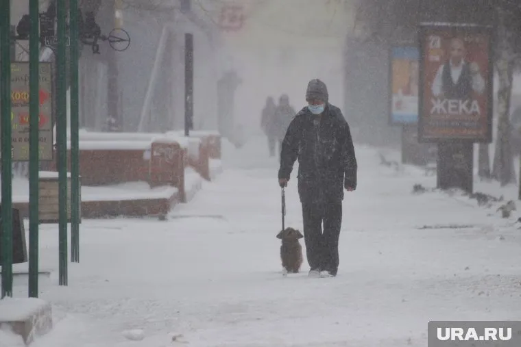 В Кургане ожидается снегопад