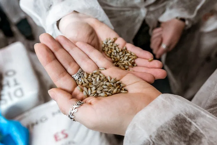 Экскурсия по пивоварне Ермолаев. Тюмень.