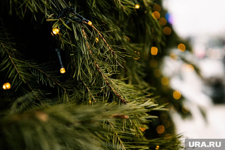 Жителей Тарко-Сале призвали проверить гирлянды и электроприборы