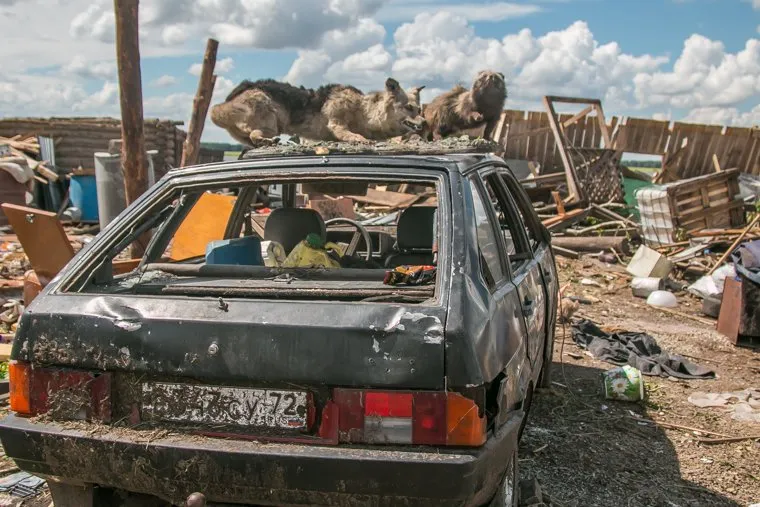 Поездка губернатора Алексея Кокорина в Малое Песьяново. Мокроусовский район. Курганская обл, разбитый автомобиль, ураган, село малое песьяново, разрушения