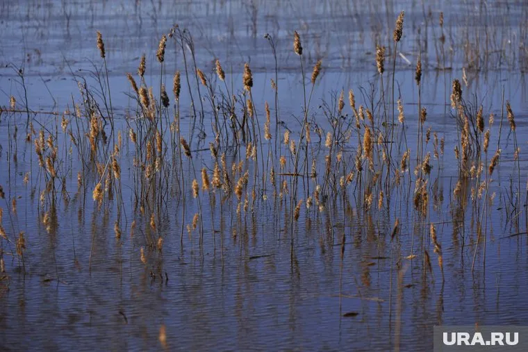 В ХМАО нашли тела утонувших мужчин, которые пропали 12 и 13 июня