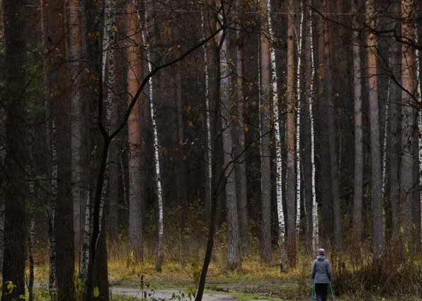 Фотография из галереи