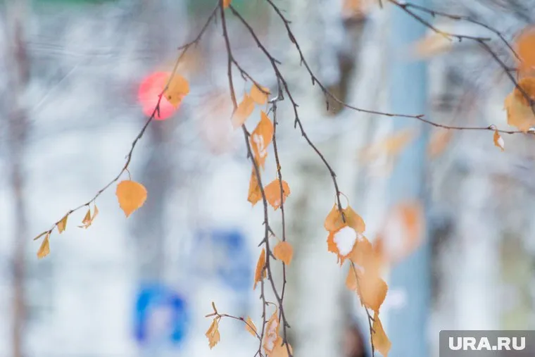 Температура упадет до -5 градусов