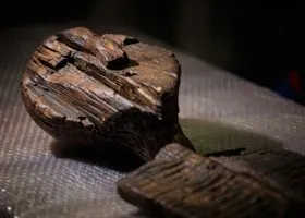 Фотография из галереи