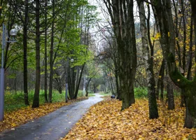 Задержан убийца, который отрезал голову женщине в Екатеринбурге