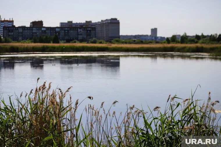 Жители Кургана раскритиковали стройку многоэтажки на болоте в микрорайоне Заозерный