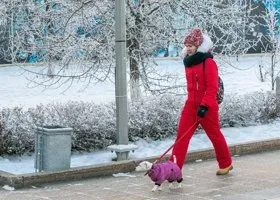 Климатолог раскрыл мягкий и жесткий сценарии потепления в России