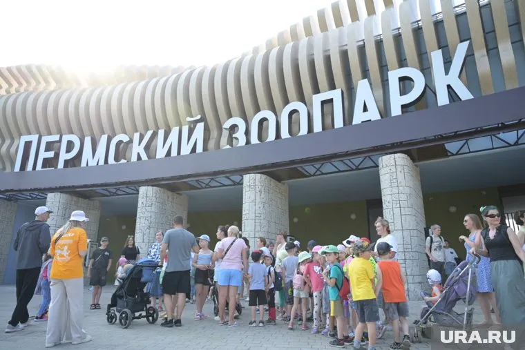 На входе гостей приветствуют аниматоры и волонтеры, раздающие программы мероприятий