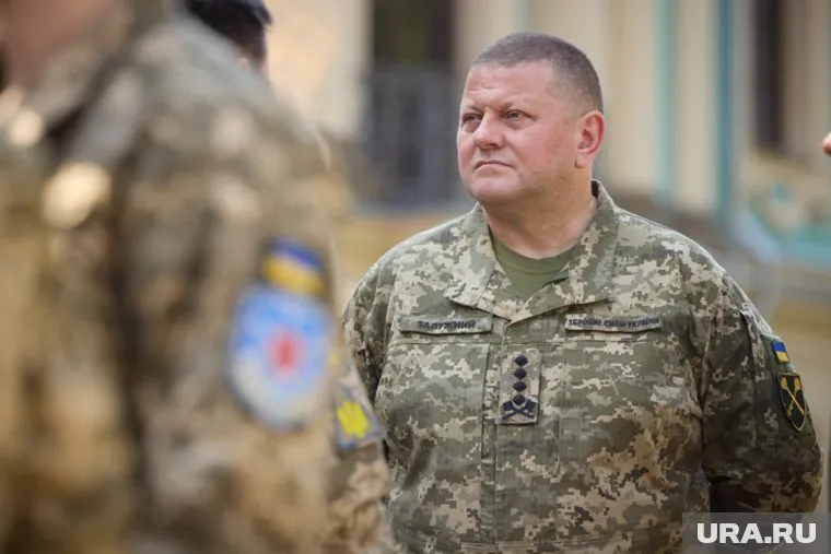 На Украине обвиняют Валерия Залужного в том, что он игнорирует проблемы ВСУ