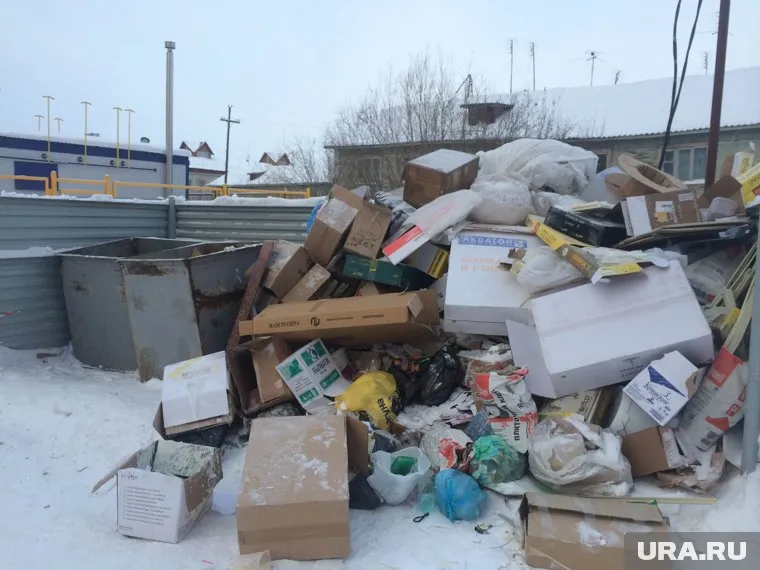 Отсутствие контейнеров могло стать причиной распространения бешенства в райцентре ЯНАО