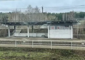 Фотография из галереи