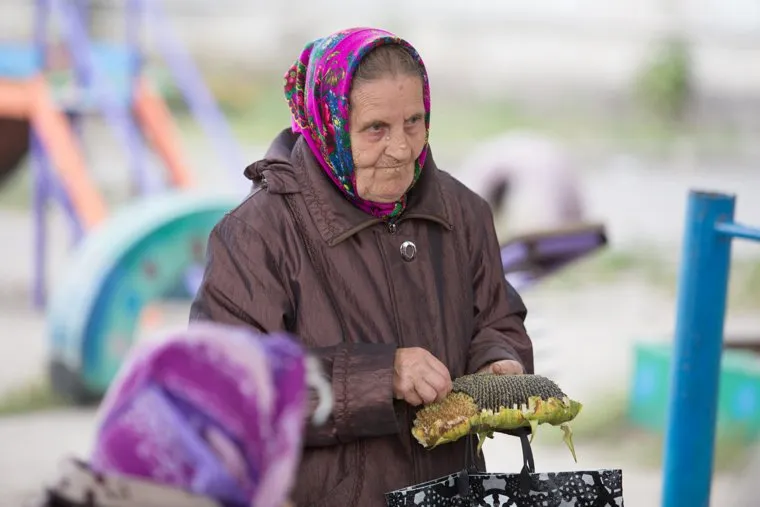 Дом, где жил Макс Фадеев. г. Курган, пенсионерка, старушка, подсолнух, бабушка