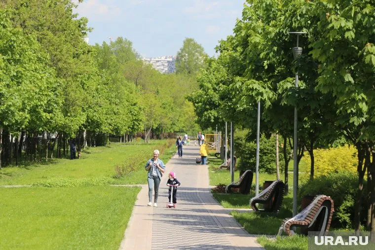 В Москве за сутки потеплеет на пять градусов, сообщил Роман Вильфанд