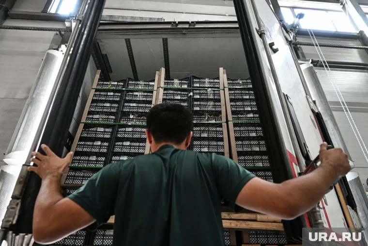 Денис Мантуров сообщил, что ведется постоянная работа по корректировке параллельного импорта