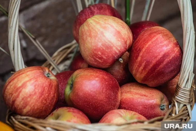 Россия не столкнется с дефицитом яблок