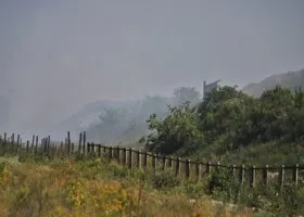 Фотография из галереи