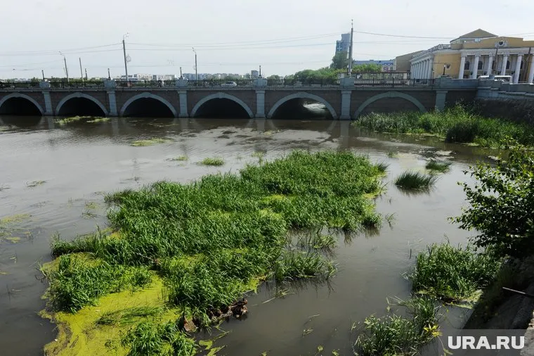 Девушку с моста сняли альпинисты