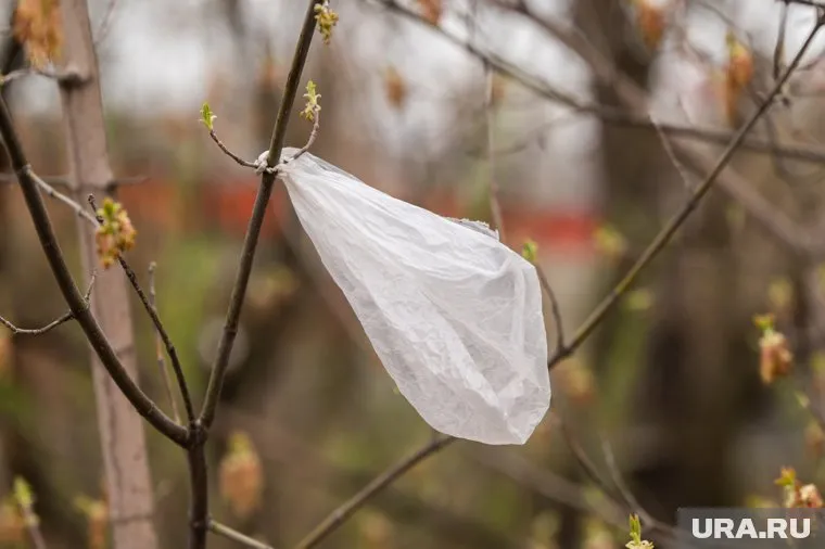 Земля должна быть очищена от строительного мусора и опасных ограждений