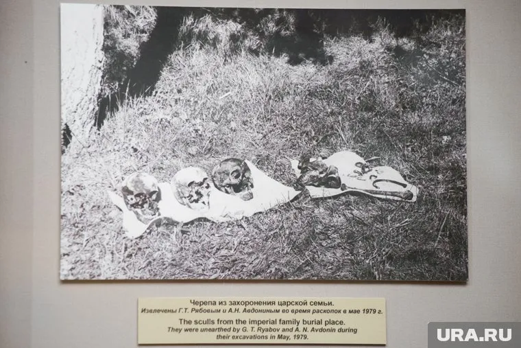 Черепа из захоронения царской семьи, извлеченные 1 июня 1979 года