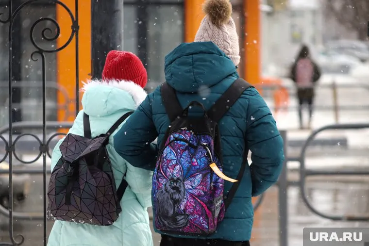 За несколько недель до стрельбы учительница увидела чат с призывами к суициду, сказала мать