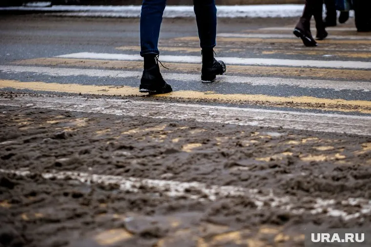 В Кургане в 2020 году дороги посыпят реагентами, которые растворяют лед при минус 16 градусах