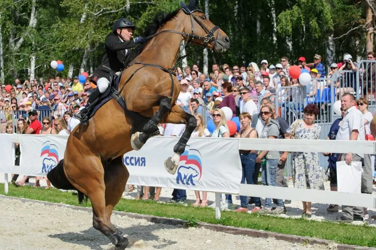Соревнования в КСК "Дубрава". Свердловская область, Верхнее Дуброво