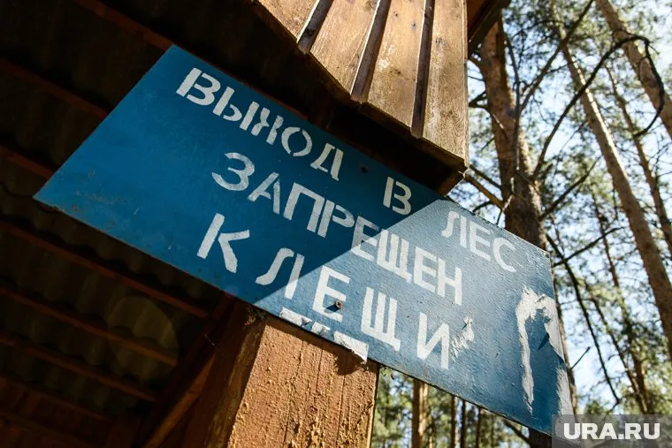 В ХМАО за минувшую неделю зарегистрировано 535 присасываний