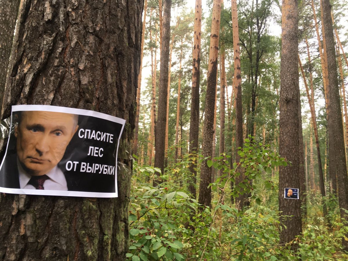 Hamma jimirlab ketadi Xususiy xotini katta Dik ichida eshak