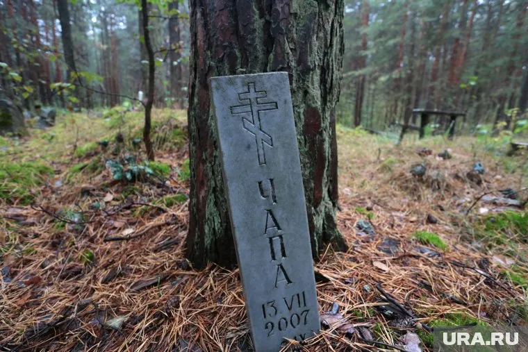 Свердловчане пожаловались на нелегальное кладбище домашних животных