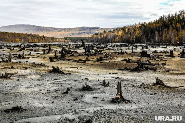 Карабаш, пойма реки Сак-Елга, отравленная выбросами комбината "Карабашмедь"