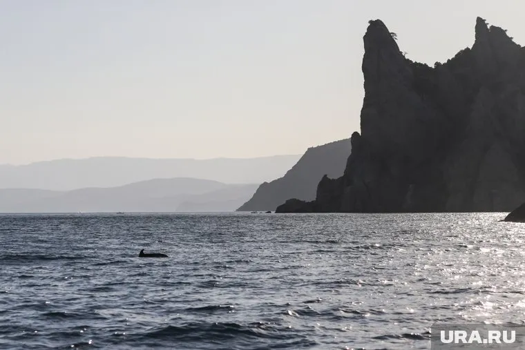 Владимиру Зеленскому нужно будет «дерусифицировать» Крым после захвата, заявили в США