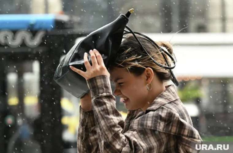 В Москве небо заволокло густыми синими тучами 