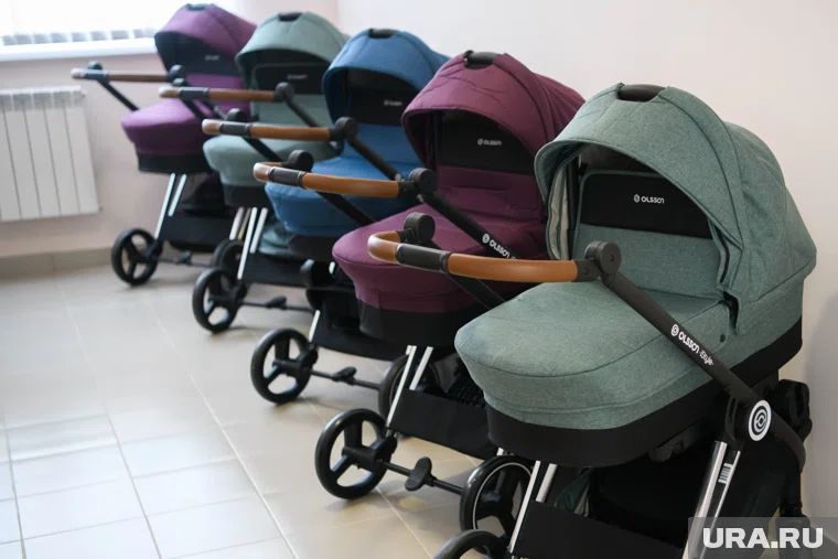 Жительницу Шадринска обманули при покупке детской коляски