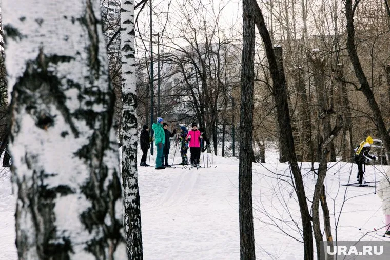Антициклон сохранит морозную погоду